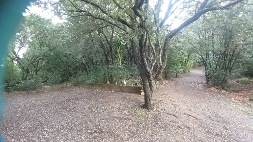 Foto Casale a Follonica in vendita