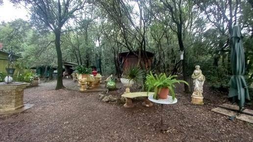 immagine annuncio 2 di 12