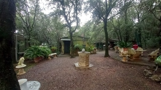 immagine annuncio 3 di 12