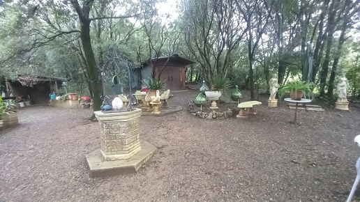 immagine annuncio 5 di 12