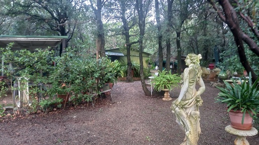 immagine annuncio 9 di 12