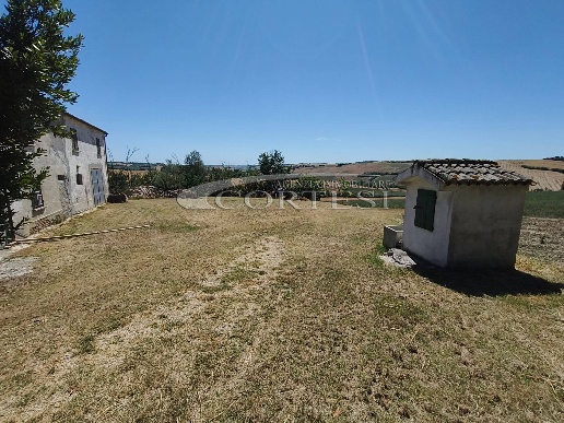 immagine annuncio 4 di 6