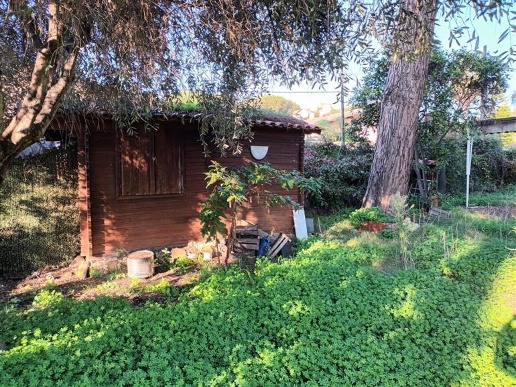 immagine annuncio 4 di 8