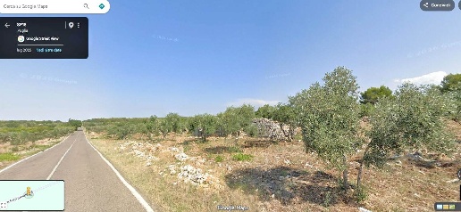 Foto Terreno agricolo in villa lucrezia sn, Altamura di 25 m² in vendita