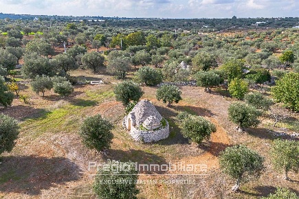 Foto Trullo in Contrada Borgo Scorzone, Polignano a Mare di 194 m²