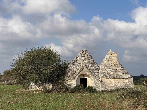 immagine annuncio 13 di 15