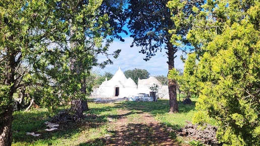 Foto Trullo in Contrada conserva grande, Martina Franca di 45 m² in vendita