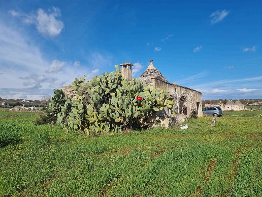 immagine annuncio 2 di 14