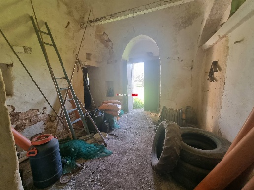 immagine annuncio 8 di 14