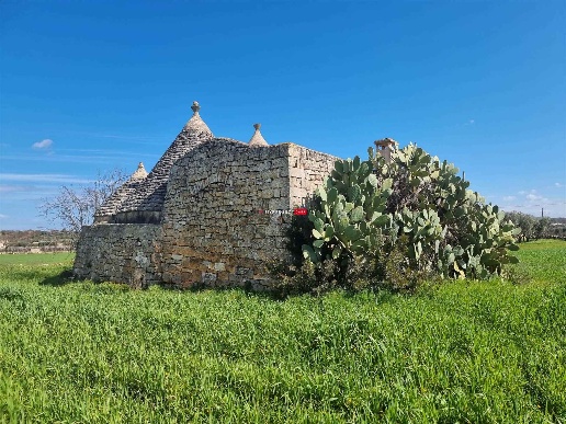 immagine annuncio 11 di 14