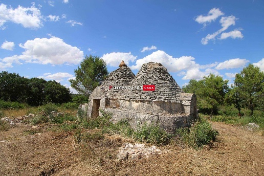 immagine annuncio 8 di 14