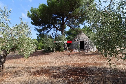 Foto Trullo in Contrada Monte 1, Cisternino di 15 m² con 1 locali