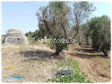Foto Trullo a Ostuni Selva di Fasano, Laureto di 20 m² con 1 locali