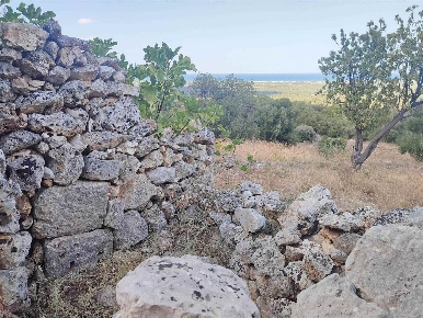 Foto Trullo in C.DA AGNANO SN, Ostuni Ostuni Costa di 50 m² con 2 locali