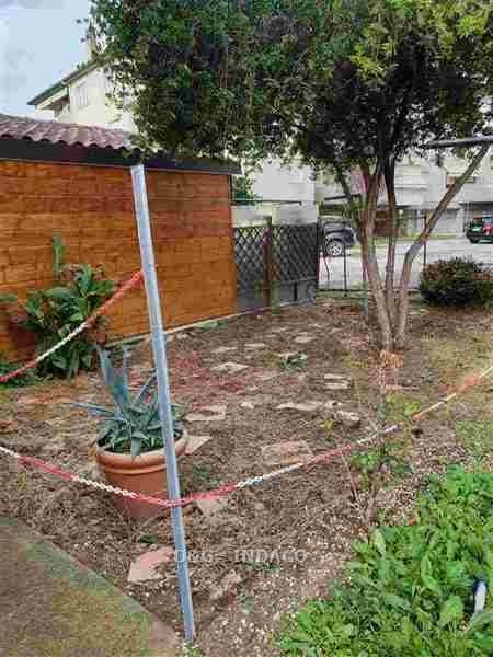 immagine annuncio 5 di 7