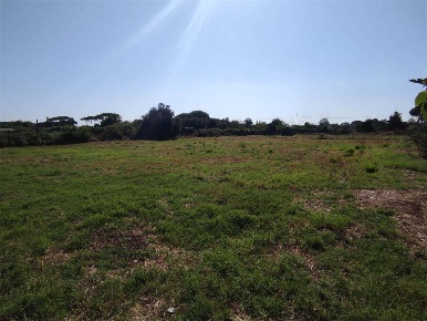 Foto Terreno agricolo in Via degli Abeti, Cerveteri di 2100 m² in vendita