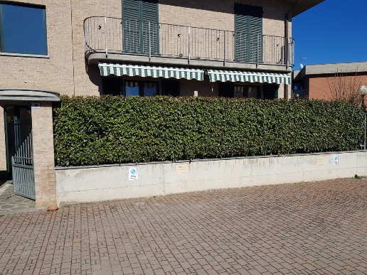 immagine annuncio 8 di 14