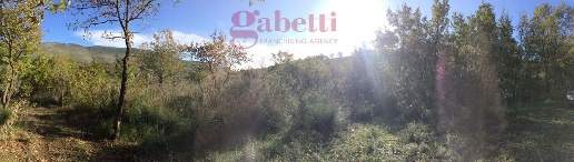 Foto Terreno agricolo in Cannavale, Giano Vetusto di 9999 m² in vendita