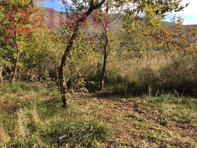 Foto Terreno agricolo in Cannavale, Giano Vetusto di 9999 m² in vendita