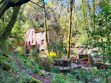 Foto Rustico a Camaiore Camaiore Paese di 160 m² con 3 locali in vendita