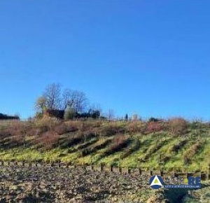 Foto Terreno in Via Montorzo snc, San Miniato La Scala, Calenzano