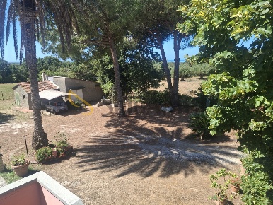 Foto Appartamento a Rosignano Marittimo di 90 m² con 4 locali in affitto