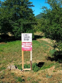 Foto Terreno agricolo in Via per Chiatri, Lucca Maggiano - San Macario