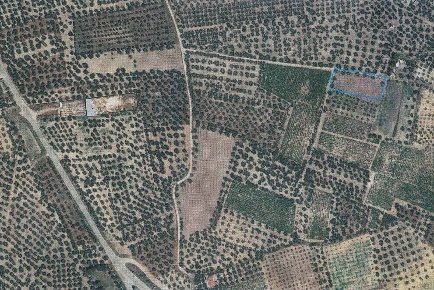 Foto Terreno agricolo a Canosa di Puglia di 2110 m² in vendita
