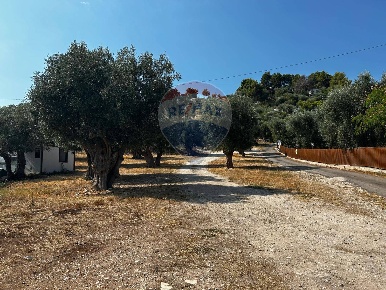 Foto Terreno residenziale in Località Monte Giordano, Vieste Marchionna