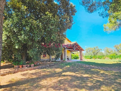 Foto Rustico a Grosseto Braccagni di 340 m² con 12 locali in vendita