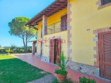 Foto Rustico a Grosseto Braccagni di 340 m² con 12 locali in vendita