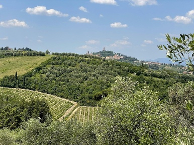 Foto Cessione attività a San Miniato La Scala, Calenzano con 5 locali