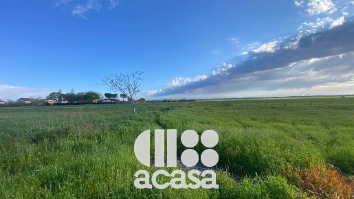 Foto Terreno edificabile a Cervia di 3000 m² in vendita