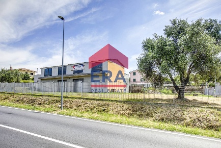 Foto Locale commerciale in via dei peschi, Ardea Castagnetta - Strampelli
