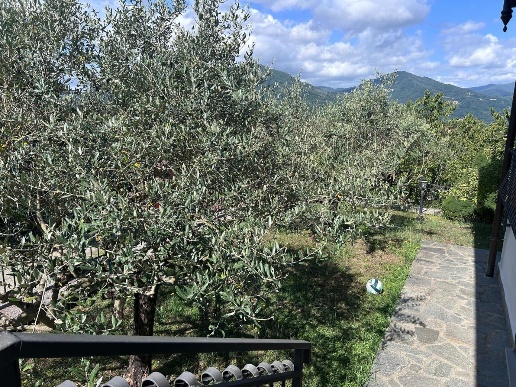 immagine annuncio 7 di 14