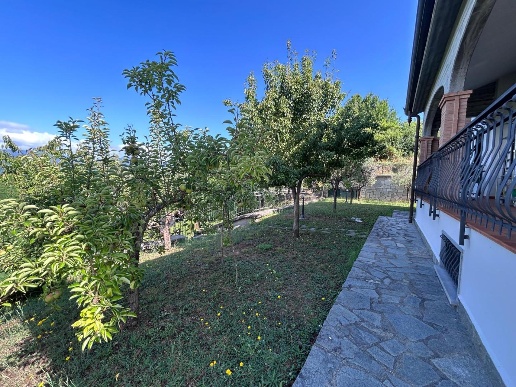 immagine annuncio 10 di 14