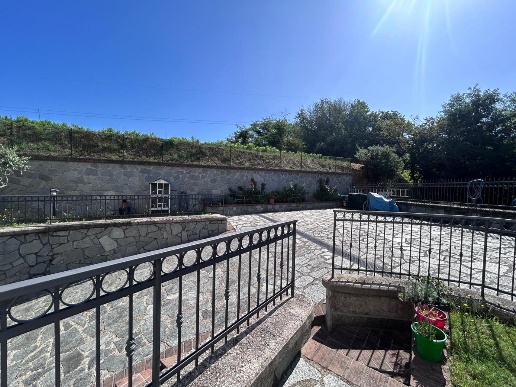 immagine annuncio 11 di 14