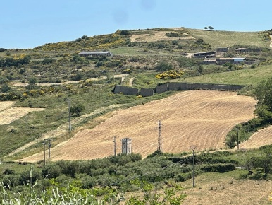 Foto Terreno agricolo in Via BASICO' SNC, Basicò di 9600 m² in vendita
