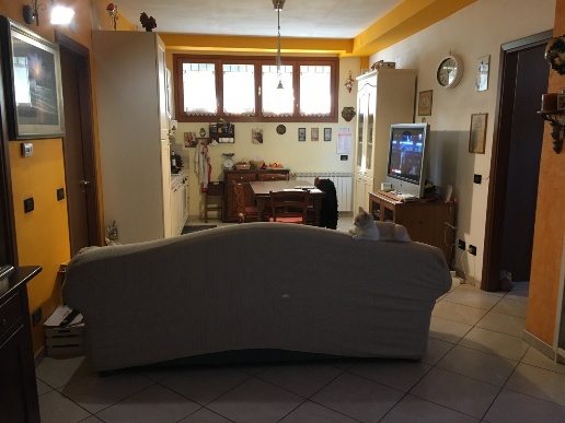 immagine annuncio 2 di 12