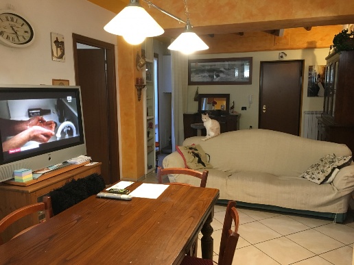 immagine annuncio 3 di 12