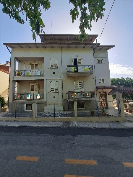 immagine annuncio 11 di 14
