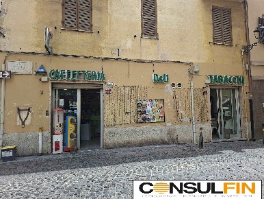 Foto Attività commerciale in VIA MARCANTONIO COLONNA  16, Frascati di 50 m²