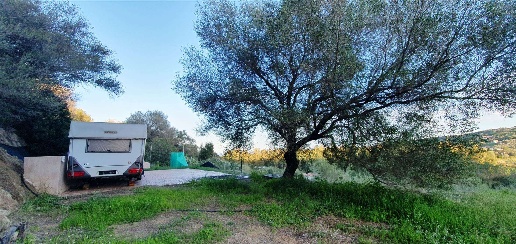 Foto Terreno agricolo a Tortolì di 2000 m² in vendita