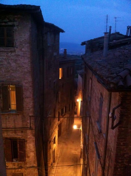 immagine annuncio 12 di 13