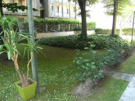 immagine annuncio 3 di 12