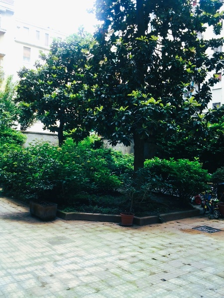 immagine annuncio 5 di 12