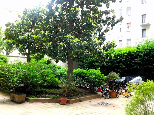 immagine annuncio 6 di 12