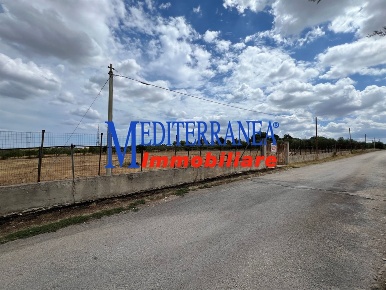 Foto Terreno agricolo in c.da Murgetta, Corato in vendita