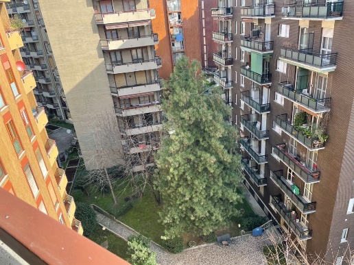 immagine annuncio 13 di 14