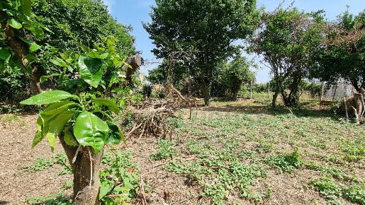 Foto Terreno residenziale a Portico di Caserta Centro di 390 m² in vendita